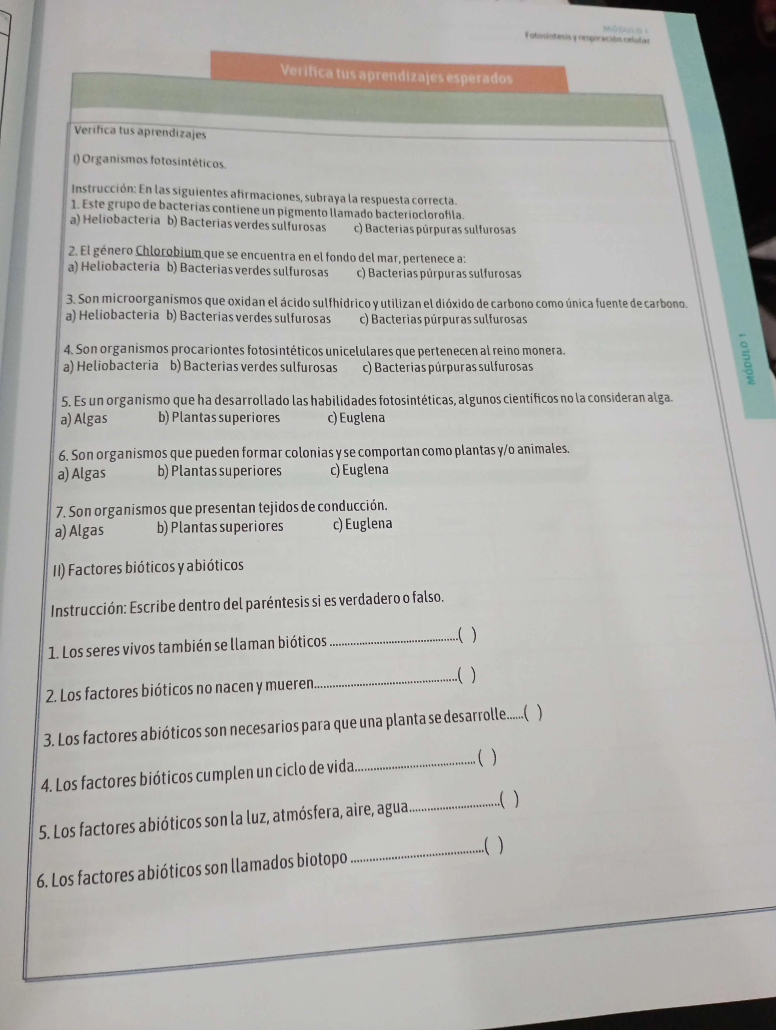 Factores bióticos y abióticos en la fotosíntesis