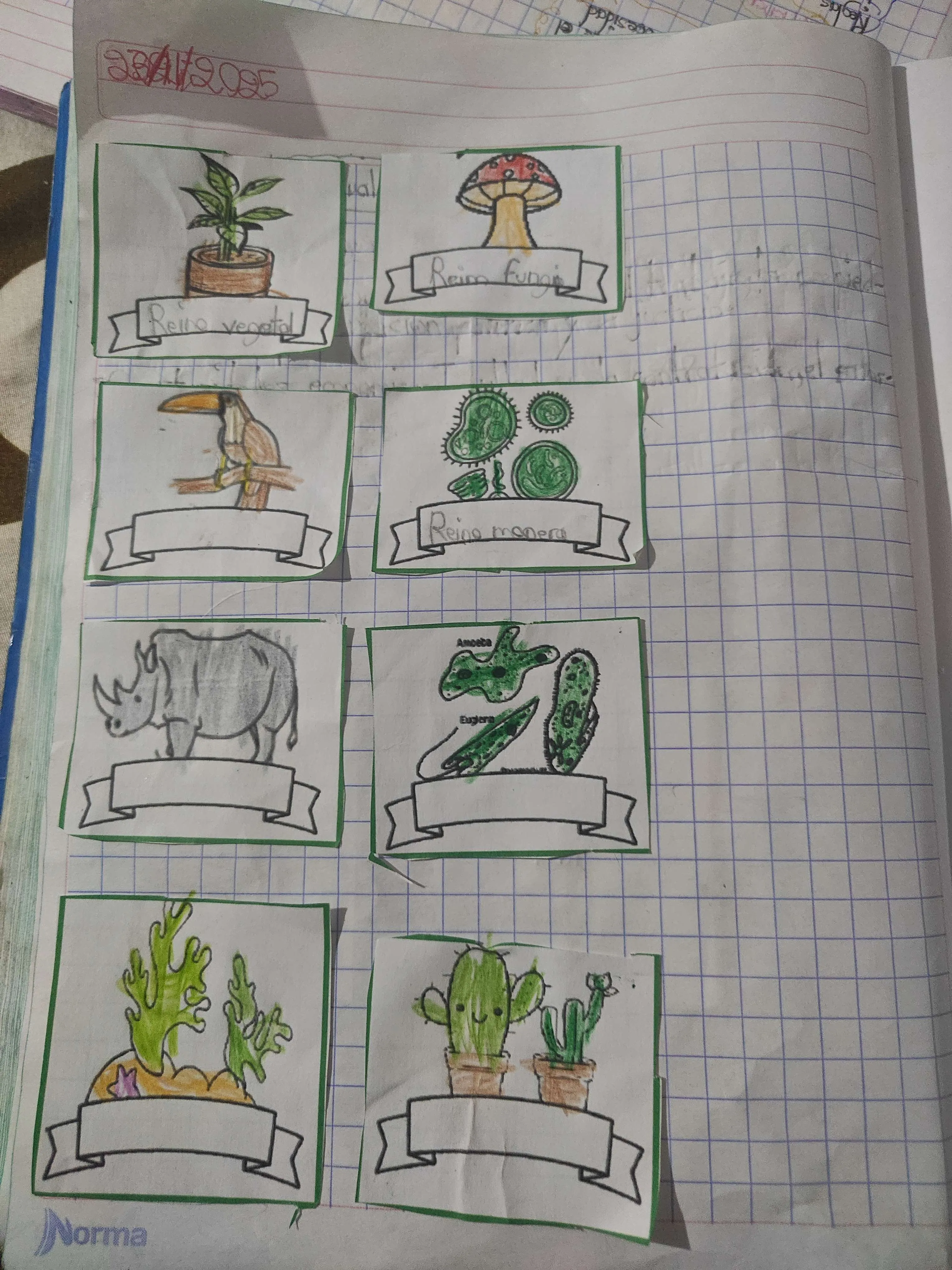 Clasificación de los reinos de los seres vivos