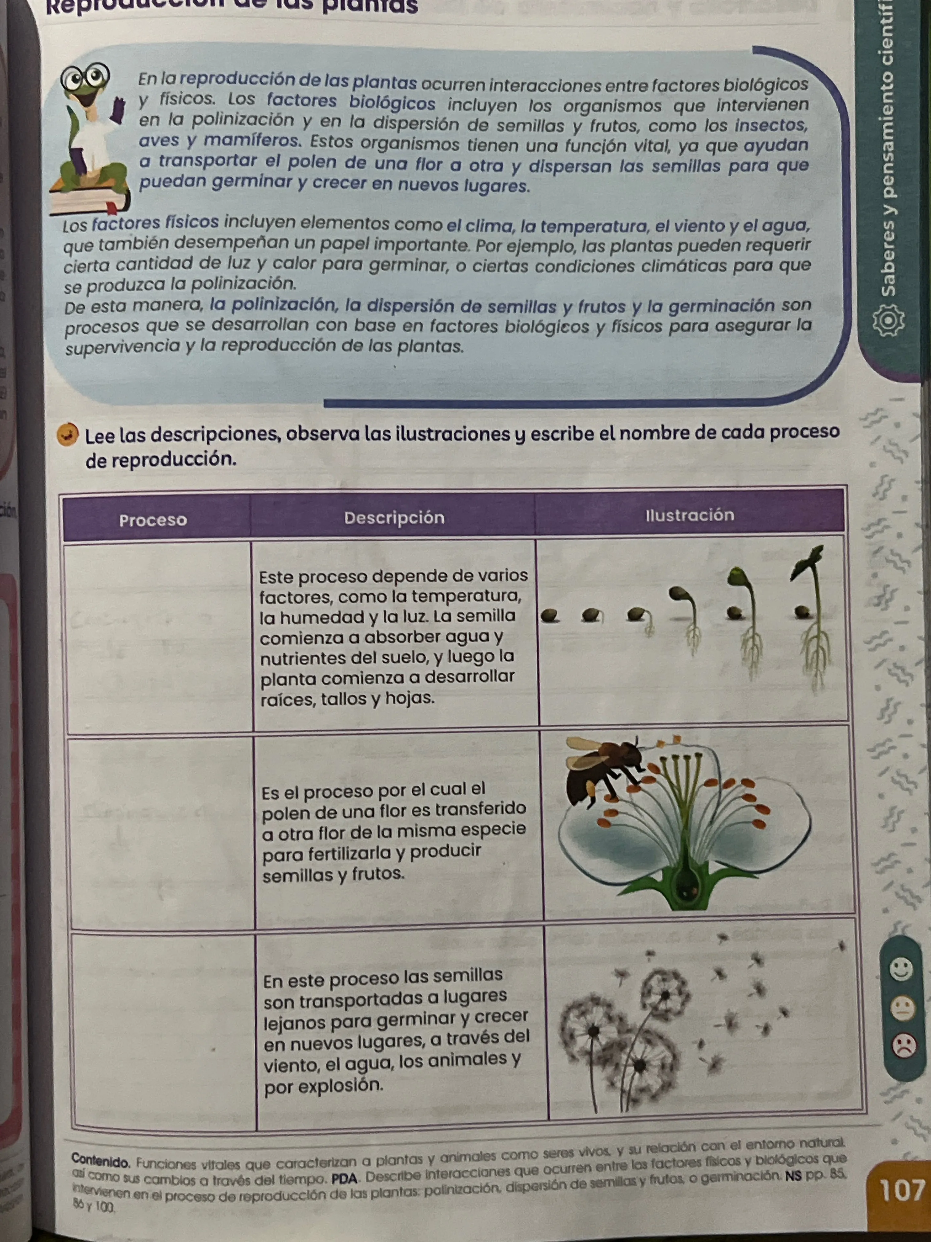 Métodos de Dispersión de Semillas | PDF | Semilla | Germinación, image size:3024x4032