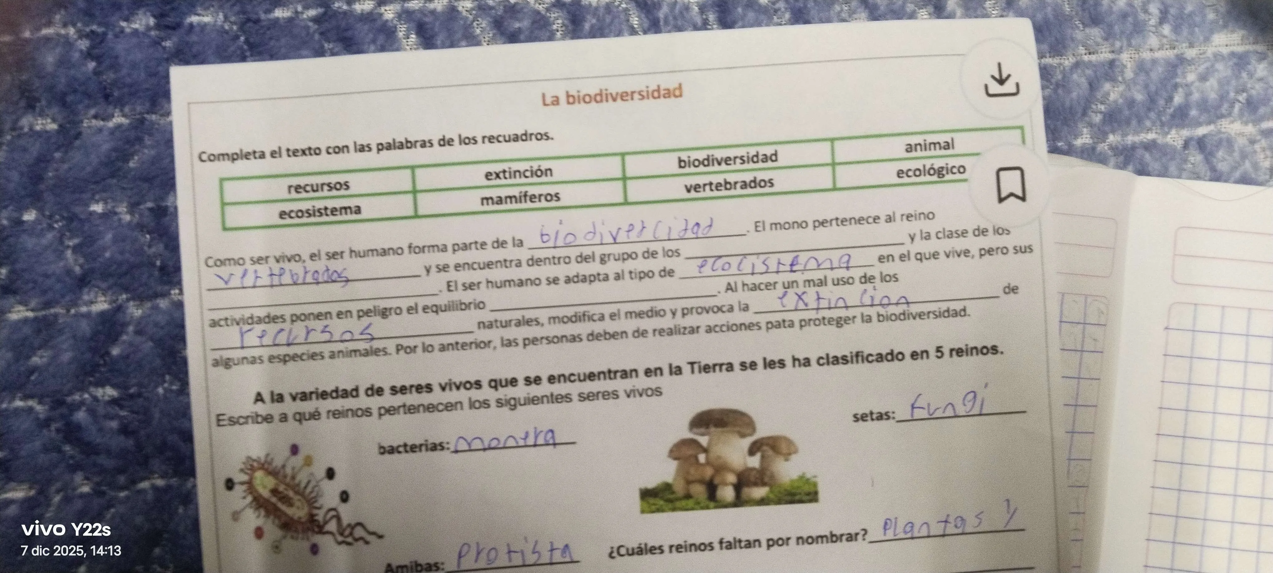 Biodiversidad y clasificación de los seres vivos