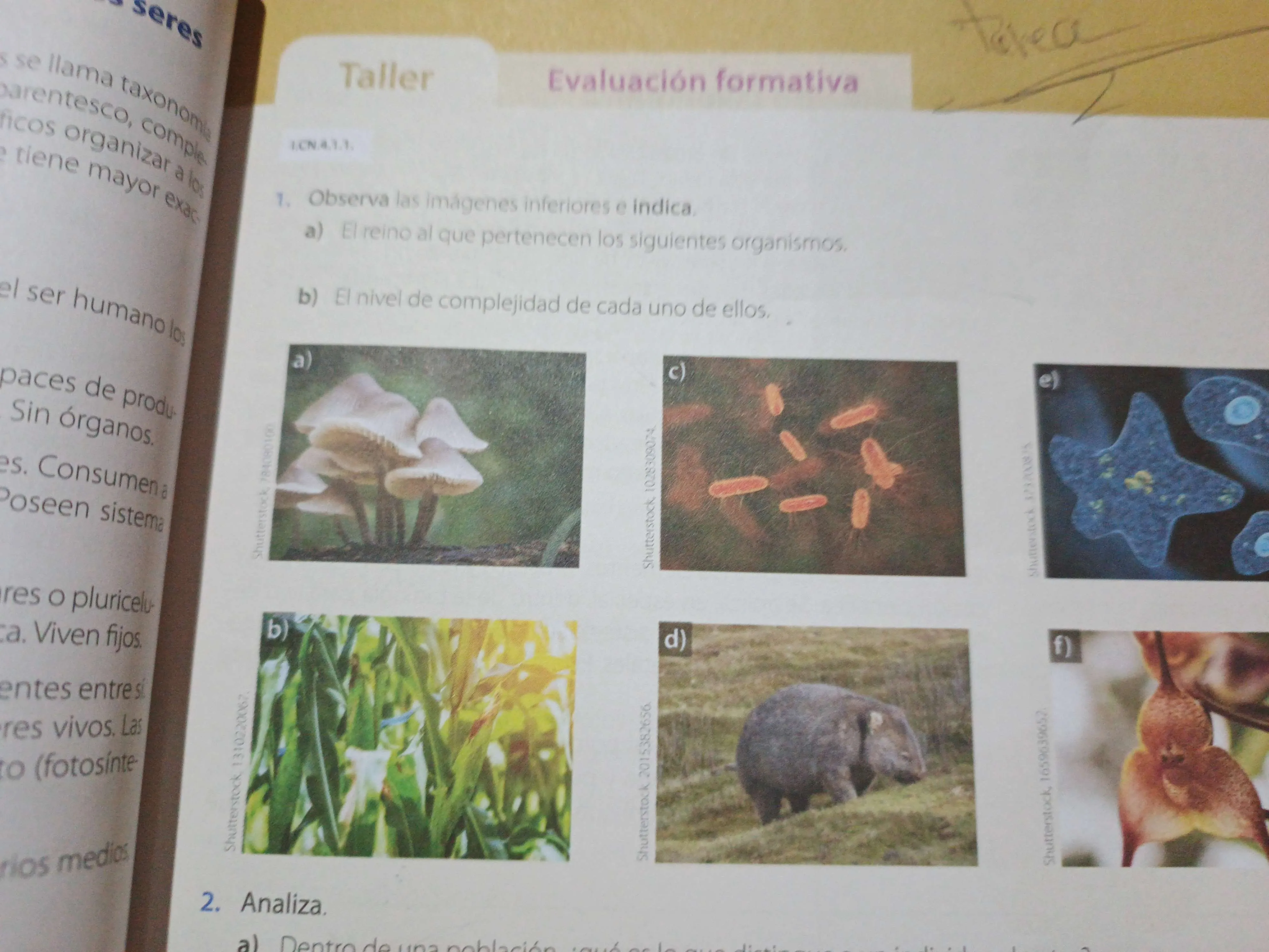 Clasificación de organismos y su complejidad