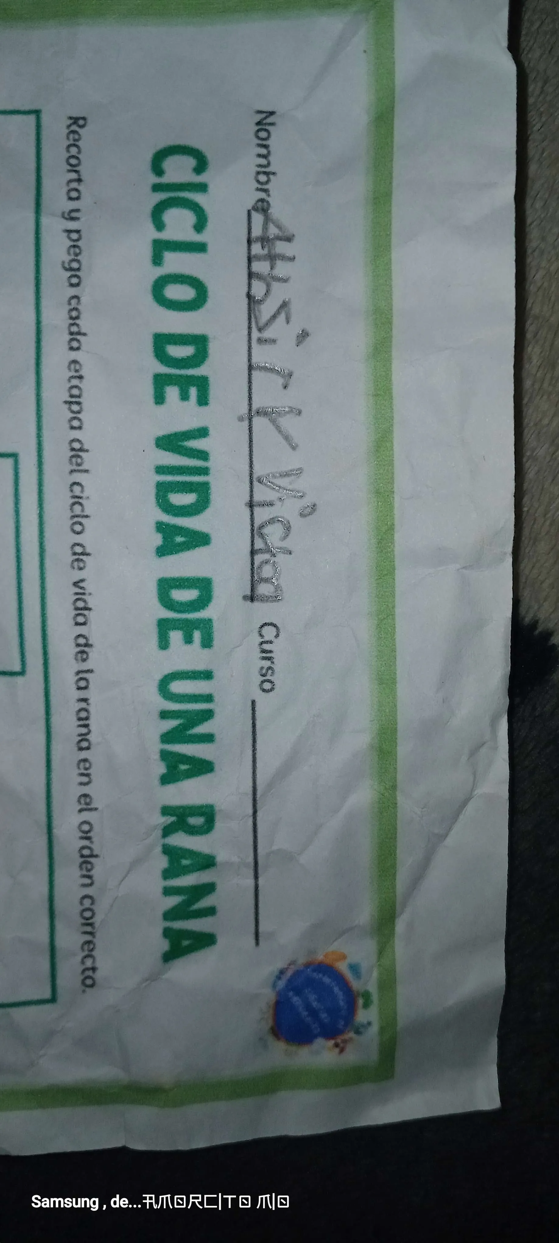 Frog Life Cycle Ciclo de vida de la rana – Bilingual Marketplace, image size:1836x4080